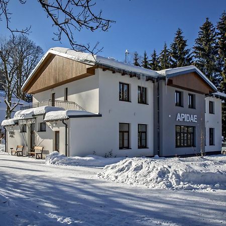 Hotel Penzion Apidae Desztne w Górach Orlickich Zewnętrze zdjęcie