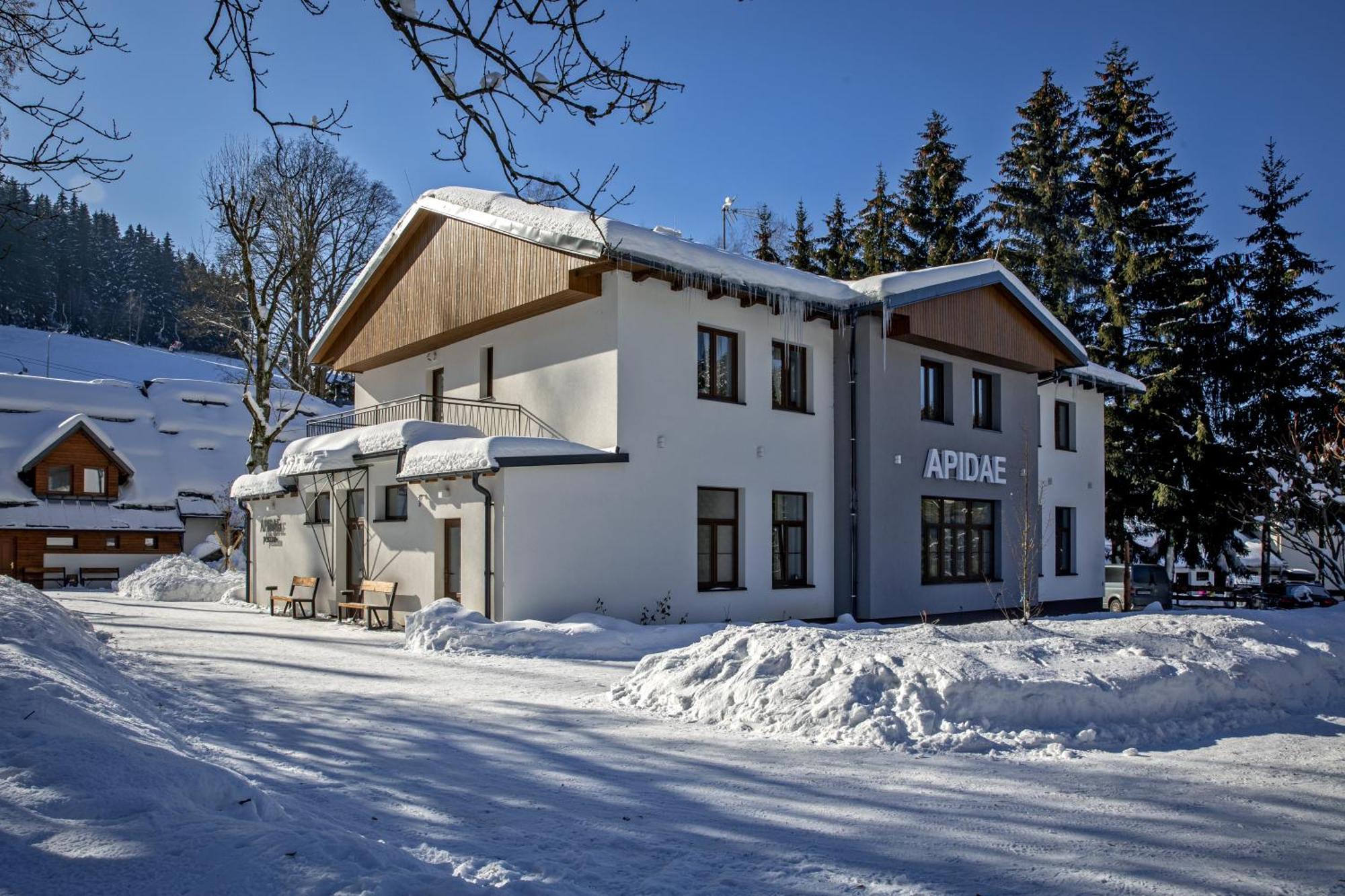 Hotel Penzion Apidae Desztne w Górach Orlickich Zewnętrze zdjęcie